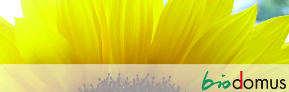 header_Startseite